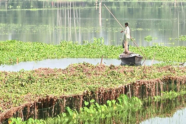 কুড়িগ্রামে নদীর পানি নেমে যাচ্ছে