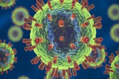 লাকসামে নতুন করে করোনায় আক্রান্ত ৯ জন