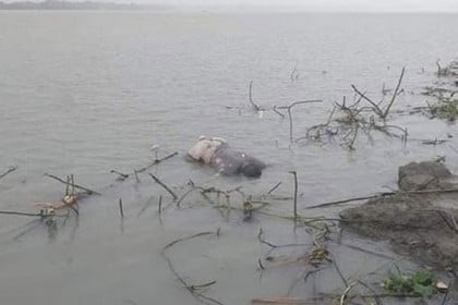 বিষখালী নদী থেকে অজ্ঞাত পুরুষের মরদেহ উদ্বার