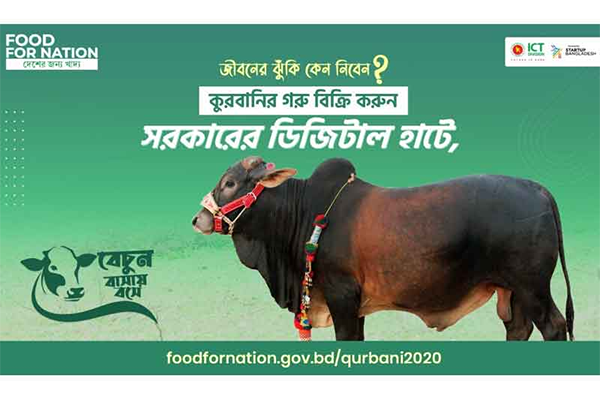 এবার সরকারি উদ্যোগে কোরবানির পশুর ডিজিটাল হাট