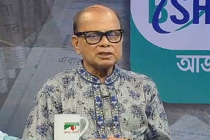 বিচার করে দুর্নীতিবাজদের মেরে ফেলতে বললেন ড. সৈয়দ আনোয়ার