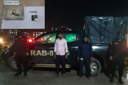 বরিশালে তক্ষক পাচারকালে আটক ২