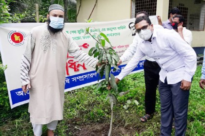 লাকসামে মুজিববর্ষ উপলক্ষে বৃক্ষরোপণ কর্মসূচি উদ্বোধন