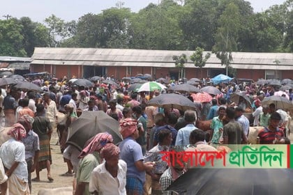 পশুর হাট যেন করোনা সংক্রমণের খনি!