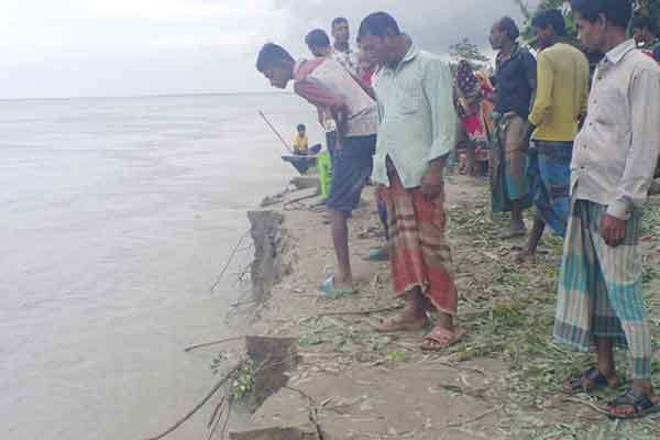 ফসল ও বসতভিটা হারিয়ে নিঃস্ব হচ্ছেন যমুনা পাড়ের মানুষ