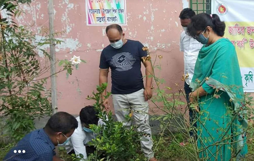মুজিববর্ষ উপলক্ষে মোল্লাহাটে একশ' বৃক্ষ রোপন 