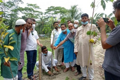 বাউফলে বৃক্ষরোপণ কর্মসূচি