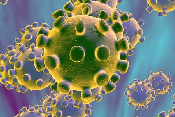 দেশে গত ২৪ ঘণ্টায় ২৬৮৬ জনের করোনা শনাক্ত