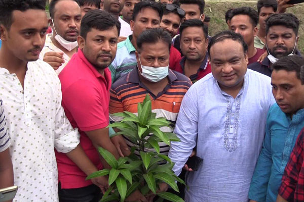 ব্রাহ্মণবাড়িয়ায় ৫ শতাধিক বৃক্ষরোপণ 