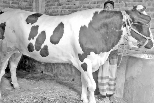 সম্রাটের মূল্য ৬ লাখ টাকা