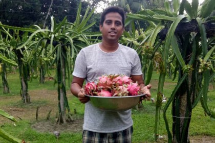 ড্রাগন ফলেই বাজিমাত জামাল মুন্সীর