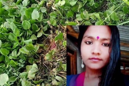 নিখোঁজের ৮ দিন পর ঝিনাইদহে গৃহবধূর গলিত মরদেহ উদ্ধার 