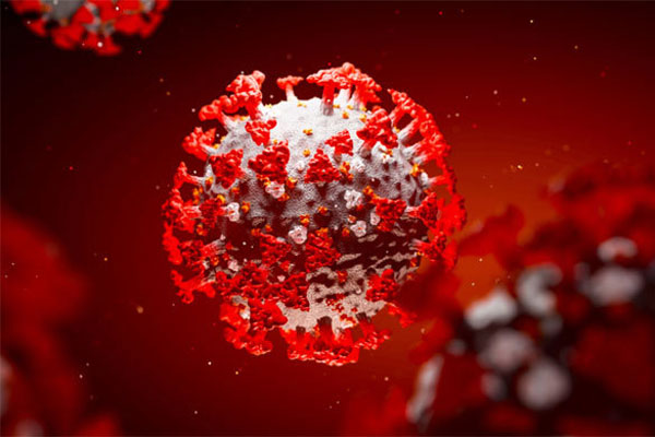 লাকসামে চিকিৎসক দম্পতি করোনায় আক্রান্ত