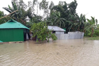 লালমনিরহাটে তিস্তার পানি বিপদসীমার ১৫ সেন্টিমিটার উপরে