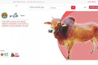 অনলাইনে চালু হলো ‘ডিএনসিসি ডিজিটাল হাট’