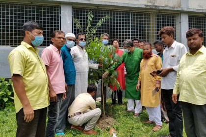 রায়পুরায় মুজিববর্ষ উপলক্ষে গাছের চারা ও মাস্ক বিতরণ