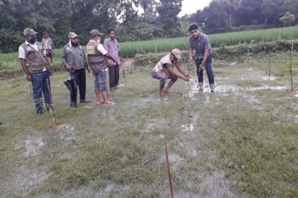 কালিয়াকৈর সৃজনশীল বনায়নের চারা নিধনের অভিযোগ