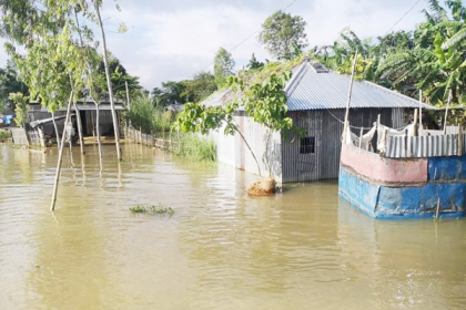 সিংড়ায় অতিবৃষ্টির কারণে নদী ও বিলের পানি বৃদ্ধি 