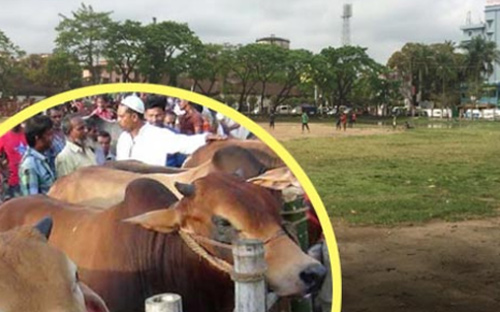 সিলেট আলিয়া মাঠের পশুর হাটে ইসলামি সংগঠনগুলোর আপত্তি 
