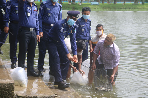 নোয়াখালী পুলিশ লাইনে মাছের পোনা অবমুক্ত 