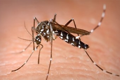 ডেঙ্গু জ্বরে প্রথম মৃত্যু!