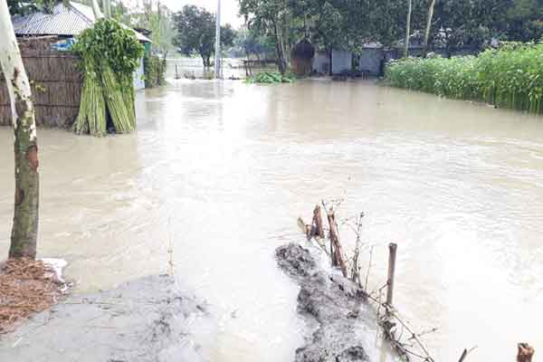 তিস্তার পানি কমলেও বেড়েছে ধরলার 