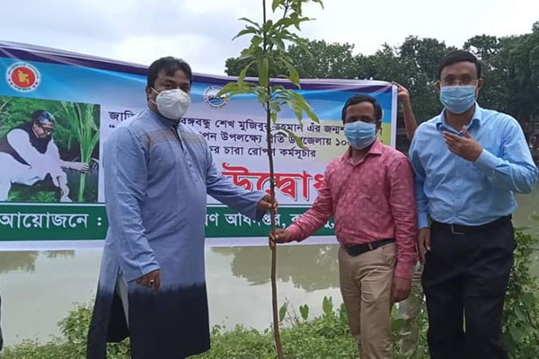 মুজিববর্ষে কাহালুতে বৃক্ষরোপণ কর্মসূচি