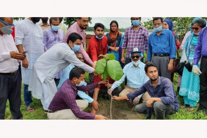 জন্মশতবর্ষ উপলক্ষে স্বাশিপের বৃক্ষরোপন কর্মসূচি উদ্বোধন