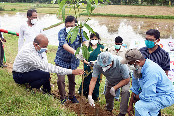 ‘করোনার বিপর্যয় থেকে উত্তোরণে বৃক্ষরোপণ ও ফসল ফলানো উচিত’