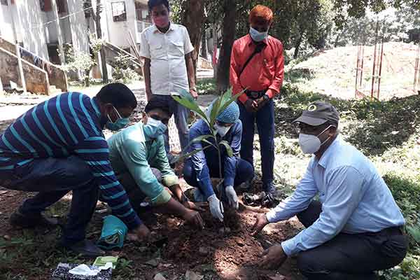 কালিয়াকৈরে বৃক্ষরোপণ  কর্মসূচি অনুষ্ঠিত 