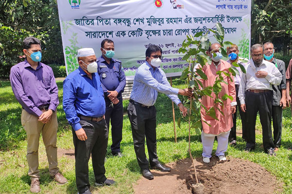 বঙ্গবন্ধুর জন্মশতবার্ষিকী উপলক্ষে বগুড়ায় বৃক্ষরোপণ 