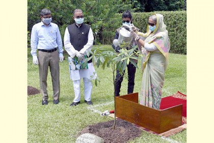দেশব্যাপী এক কোটি বৃক্ষরোপণ কর্মসূচির উদ্বোধন