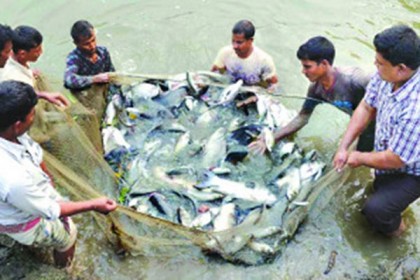 ২১ জুলাই থেকে জাতীয় মৎস্য সপ্তাহ