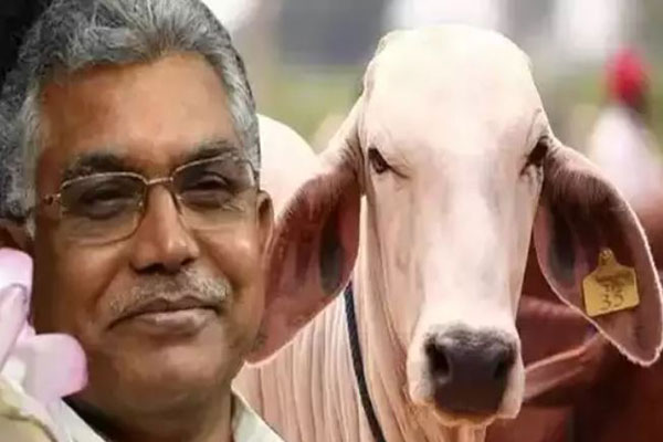 ‘গোমূত্র পান করি তাই ভালো থাকি...’