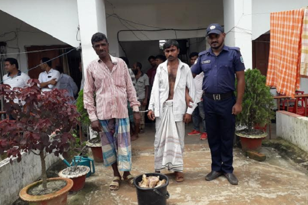 কালিয়াকৈর চুরি করে খাসি জবাই করল যুবলীগ নেতা, আটক ২