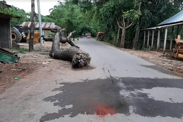 সড়কের মাঝে গাছ পড়ে থাকলেও সরানোর কেউ নেই