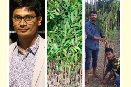 মুজিববর্ষ উপলক্ষে পর্তুগাল ছাত্রলীগ কর্মীর সহস্রাধিক বৃক্ষরোপণ
