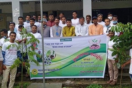সিঙ্গাপুর আওয়ামী লীগের উদ্যোগে বৃক্ষরোপণ কর্মসূচি