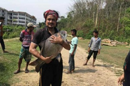 
সমালোচনার মুখে চবির সহকারী প্রক্টর হানিফ মিয়ার পদত্যাগ 