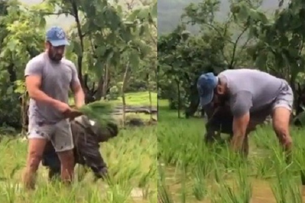  মাঠে নেমে কৃষকের কাজ করছেন সালমান খান 