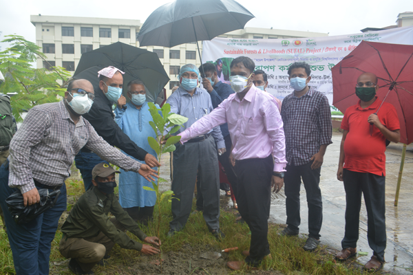 নোবিপ্রবিতে বৃক্ষরোপণ কর্মসূচি উদ্বোধন 

