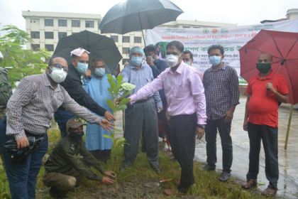 নোবিপ্রবিতে বৃক্ষরোপণ কর্মসূচি উদ্বোধন 

