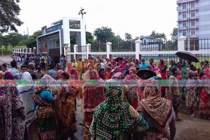 স্কুলমাঠে পশুর হাট, সিলেটে আন্দোলনে শিক্ষার্থী ও চা শ্রমিক