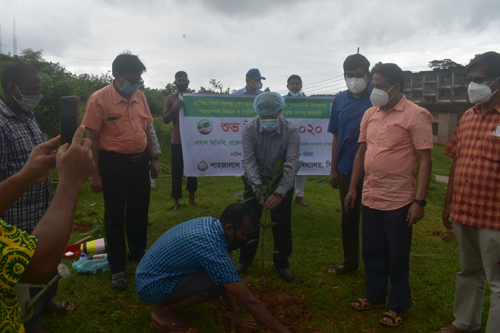 বঙ্গবন্ধুর জন্মশতবার্ষিকী উপলক্ষে শাবিতে বৃক্ষরোপণ কর্মসূচী 