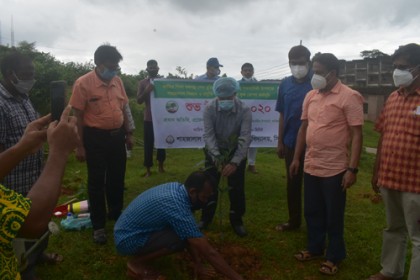 বঙ্গবন্ধুর জন্মশতবার্ষিকী উপলক্ষে শাবিতে বৃক্ষরোপণ কর্মসূচী 
