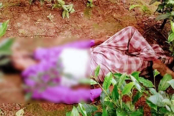 শ্রীমঙ্গলে চা বাগান থেকে এক ব্যক্তি লাশ উদ্ধার