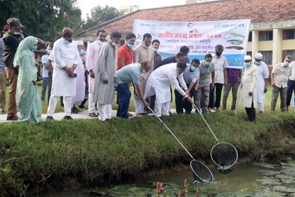 বঙ্গবন্ধু কৃষি বিশ্ববিদ্যালয়ে জাতীয় মৎস্য সপ্তাহ পালিত