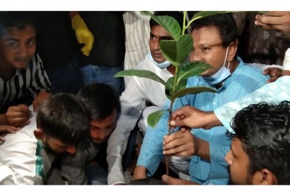 স্বেচ্ছাসেবক লীগের বৃক্ষরোপণ ও আলোচনা সভা