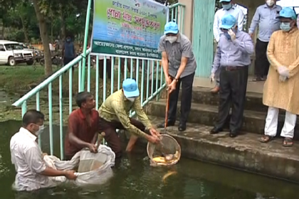 বরিশালে মাছের পোনা অবমুক্ত