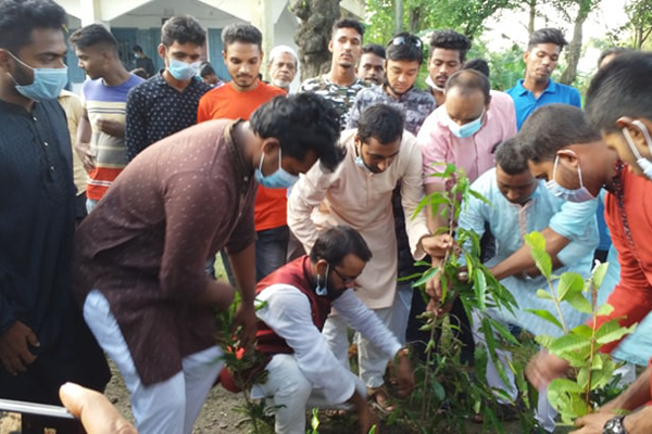 নাটোরে বৃক্ষরোপণ কর্মসূচি